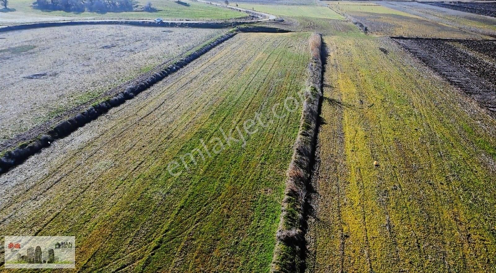 Han Emlak Otomotiv'den Ezine Mahmudiyede 11000 M2 Satılık Tarla - Görsel 5