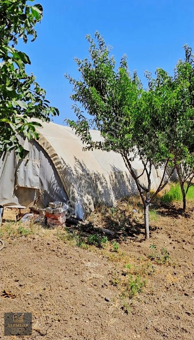 Silivride 6.403 M² Tek Tapulu Müstakil Çiftlik - Görsel 3