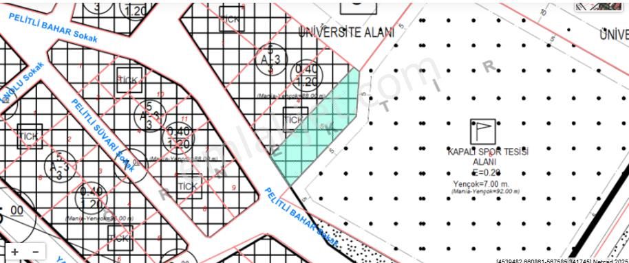 Trabzon Pelitli'de Satılık Ticari İmarlı Arsa - Görsel 21