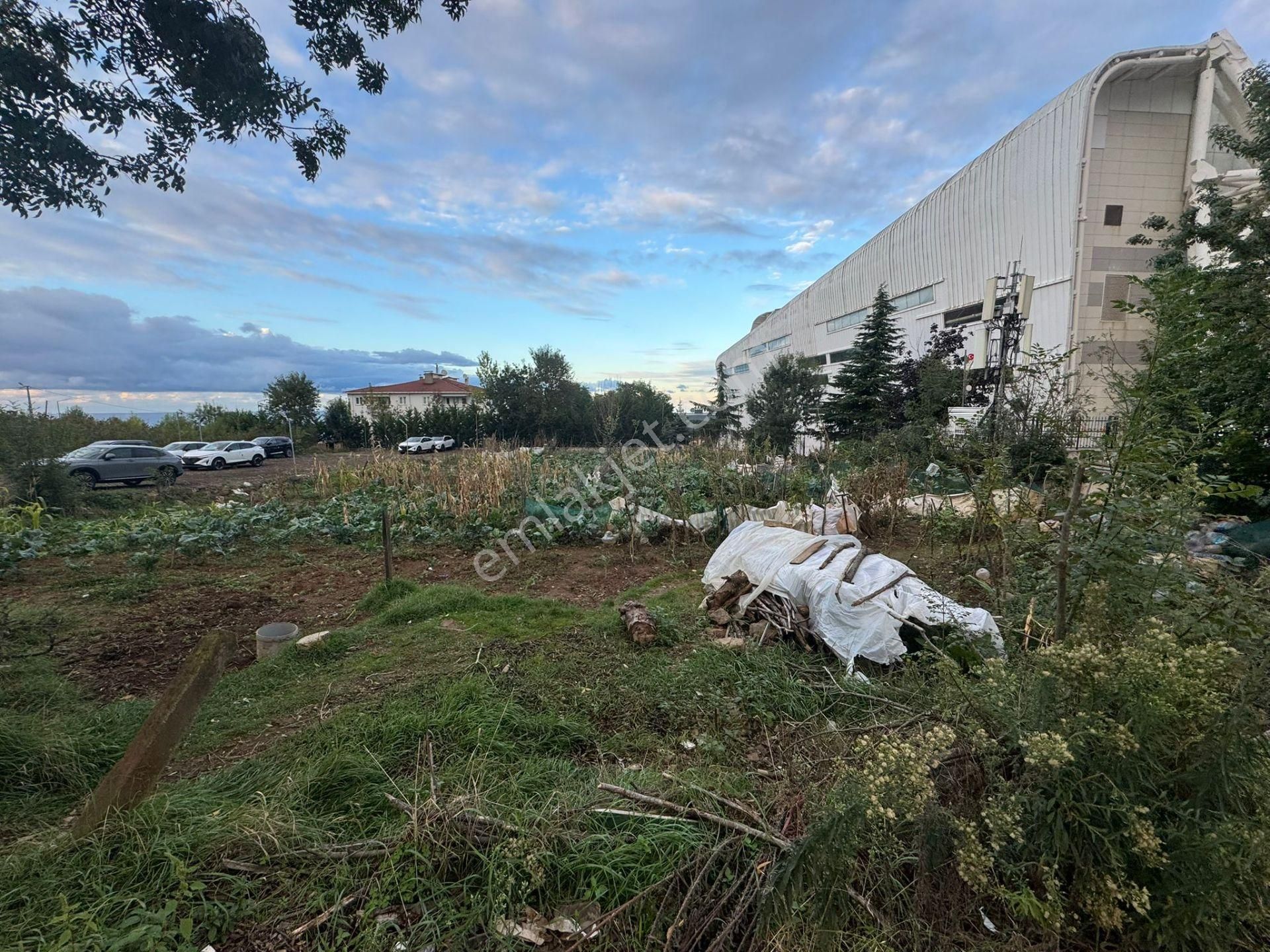Trabzon Pelitli'de Satılık Ticari İmarlı Arsa - Görsel 20