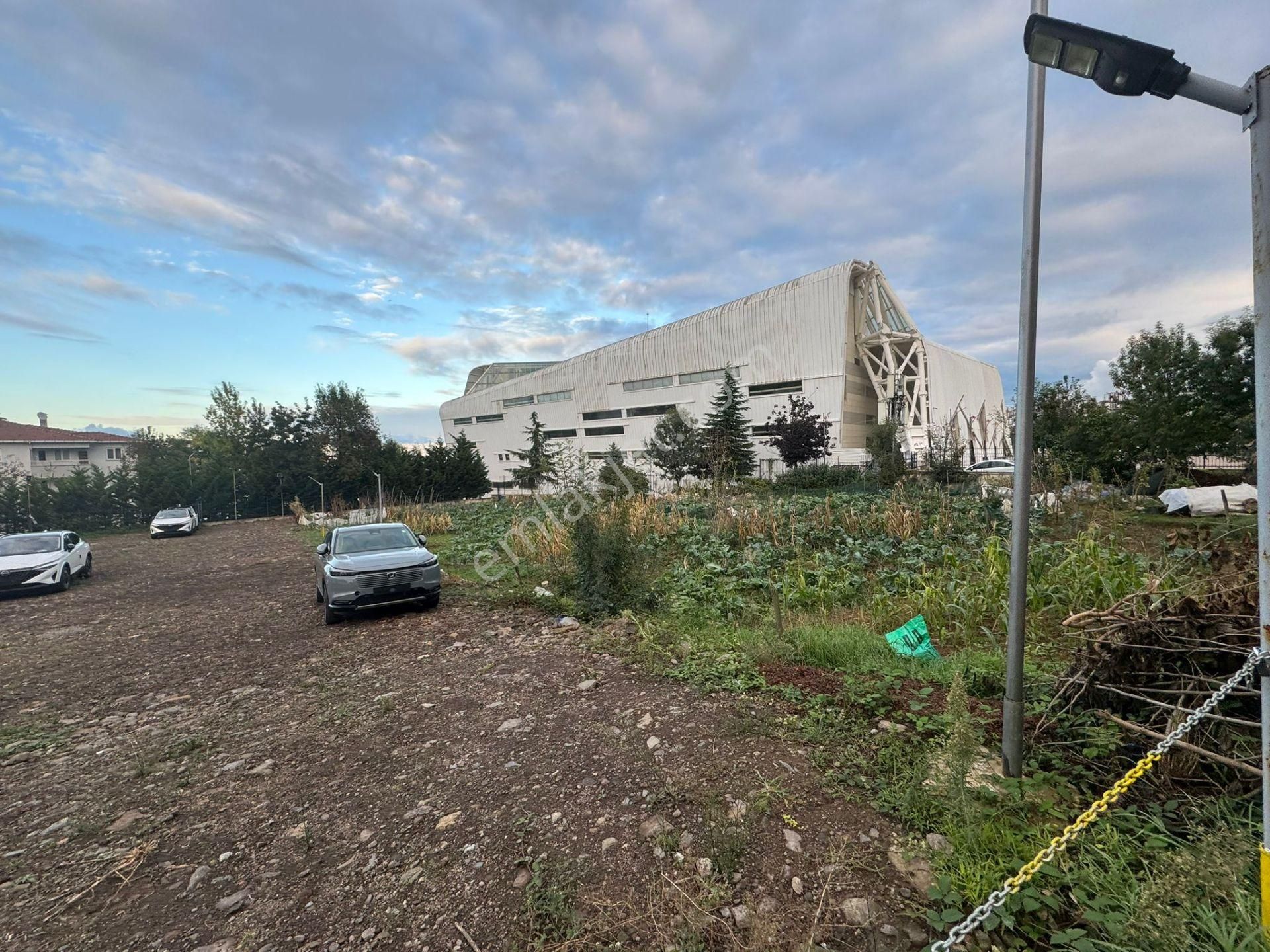 Trabzon Pelitli'de Satılık Ticari İmarlı Arsa - Görsel 17