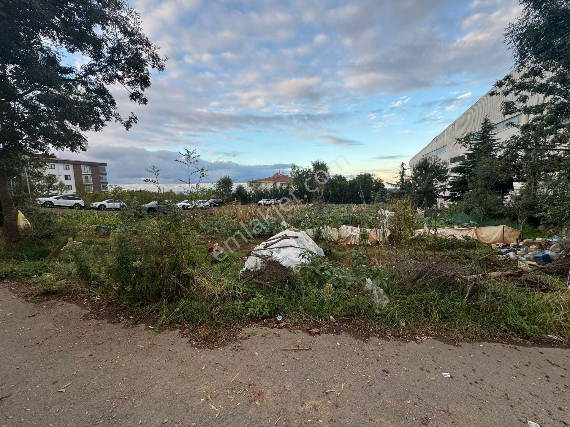 Trabzon Pelitli'de Satılık Ticari İmarlı Arsa - Görsel 18