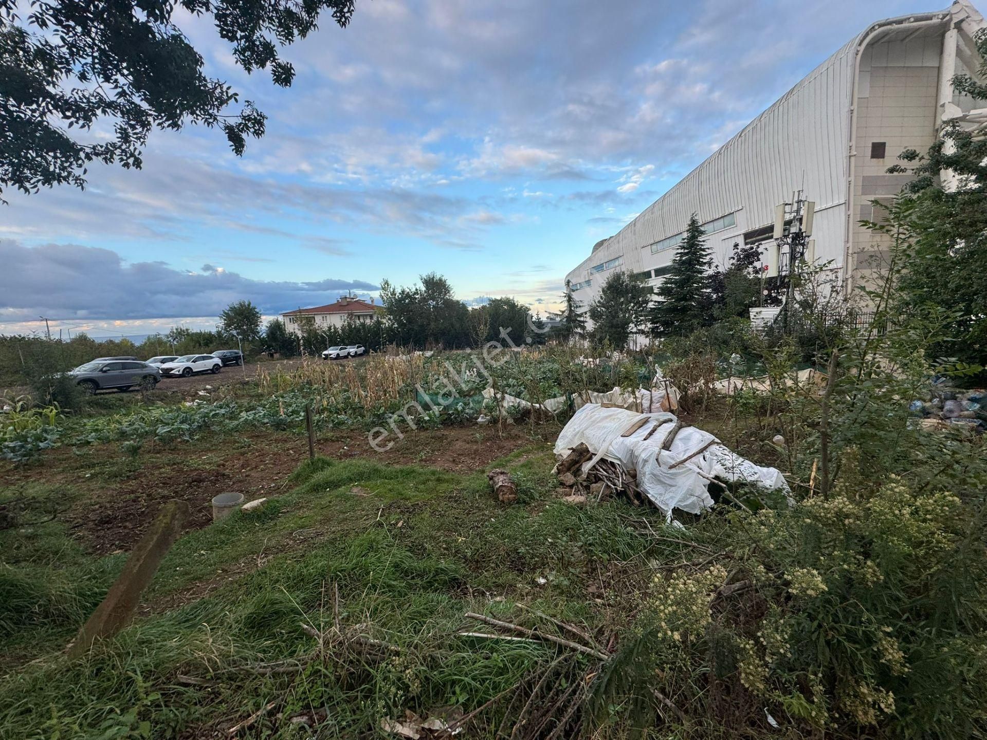 Trabzon Pelitli'de Satılık Ticari İmarlı Arsa - Görsel 22