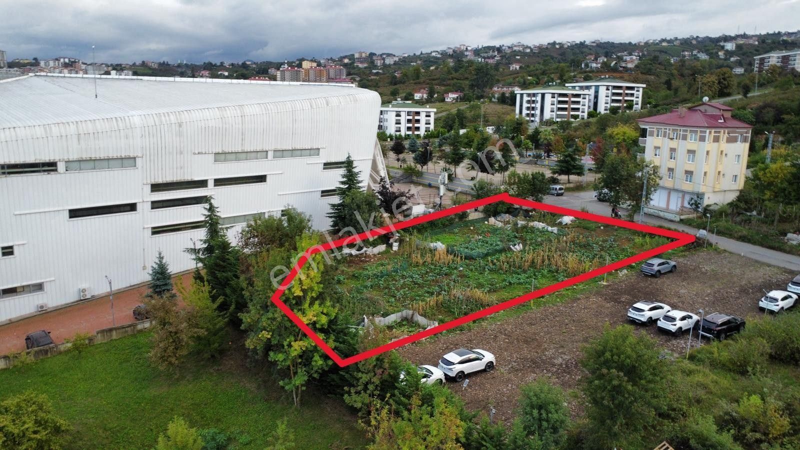 Trabzon Pelitli'de Satılık Ticari İmarlı Arsa - Görsel 6