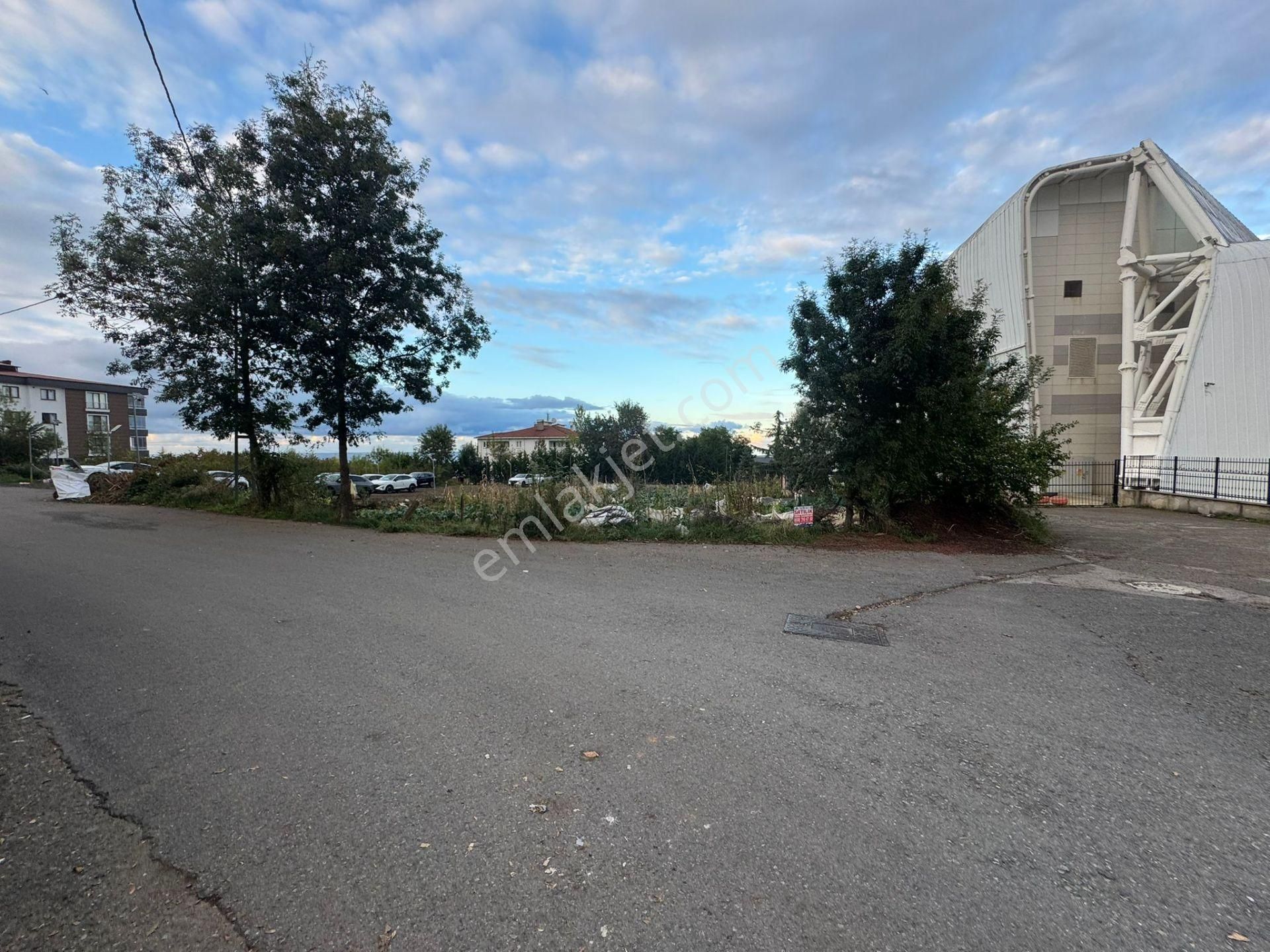 Trabzon Pelitli'de Satılık Ticari İmarlı Arsa - Görsel 19