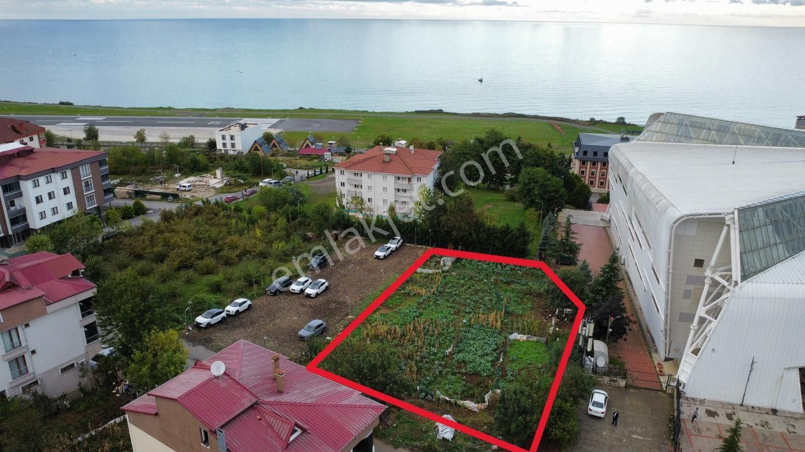 Trabzon Pelitli'de Satılık Ticari İmarlı Arsa - Görsel 9