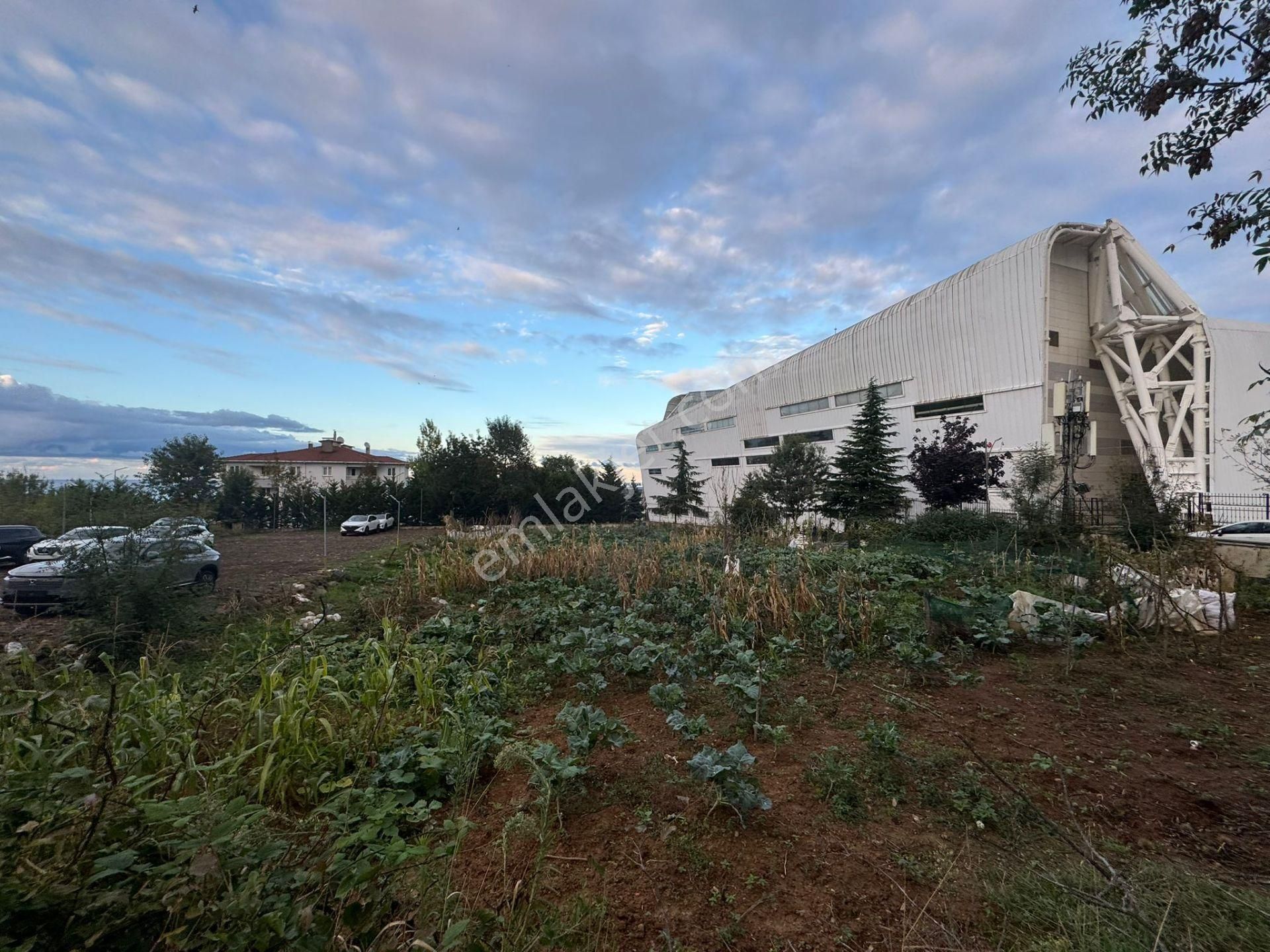 Trabzon Pelitli'de Satılık Ticari İmarlı Arsa - Görsel 16