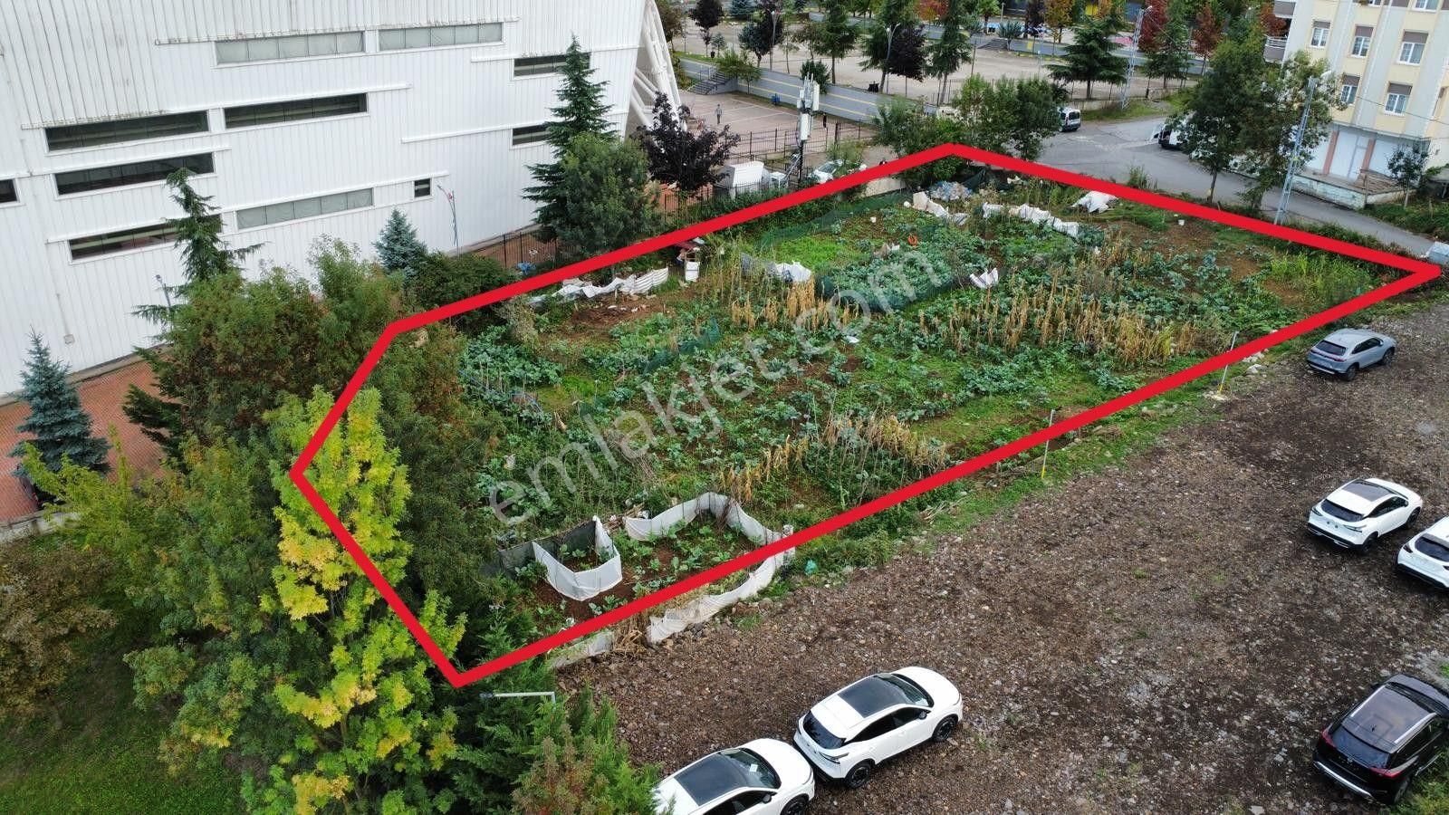 Trabzon Pelitli'de Satılık Ticari İmarlı Arsa - Görsel 2
