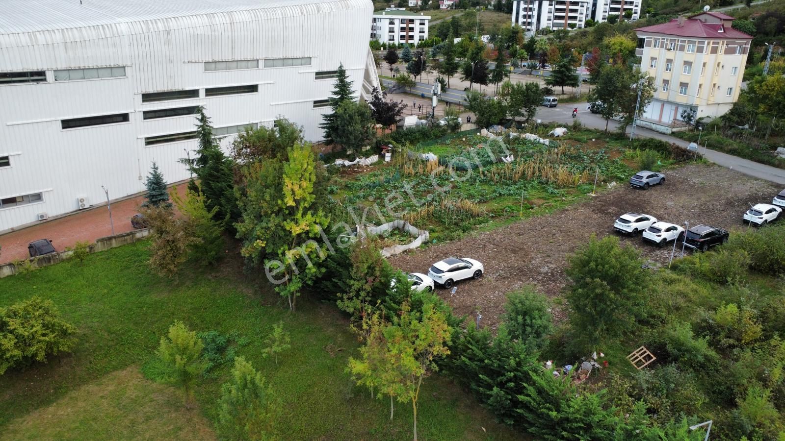 Trabzon Pelitli'de Satılık Ticari İmarlı Arsa - Görsel 4