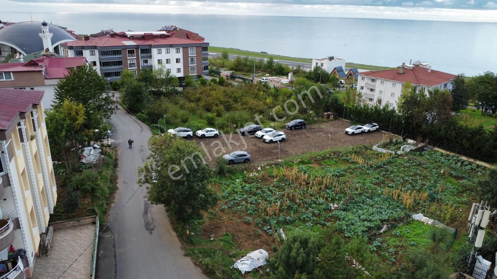 Trabzon Pelitli'de Satılık Ticari İmarlı Arsa - Görsel 5