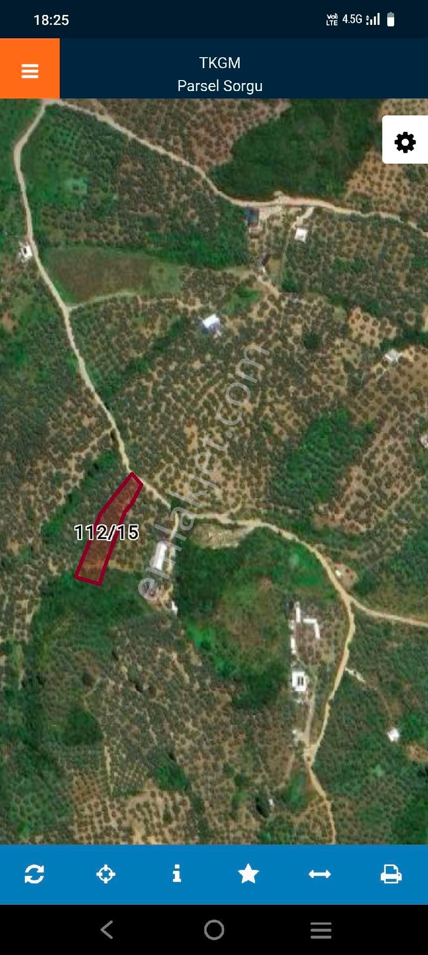 #satılık# Kumyaka Mahallesi Satılık Zeytinlik - Görsel 2