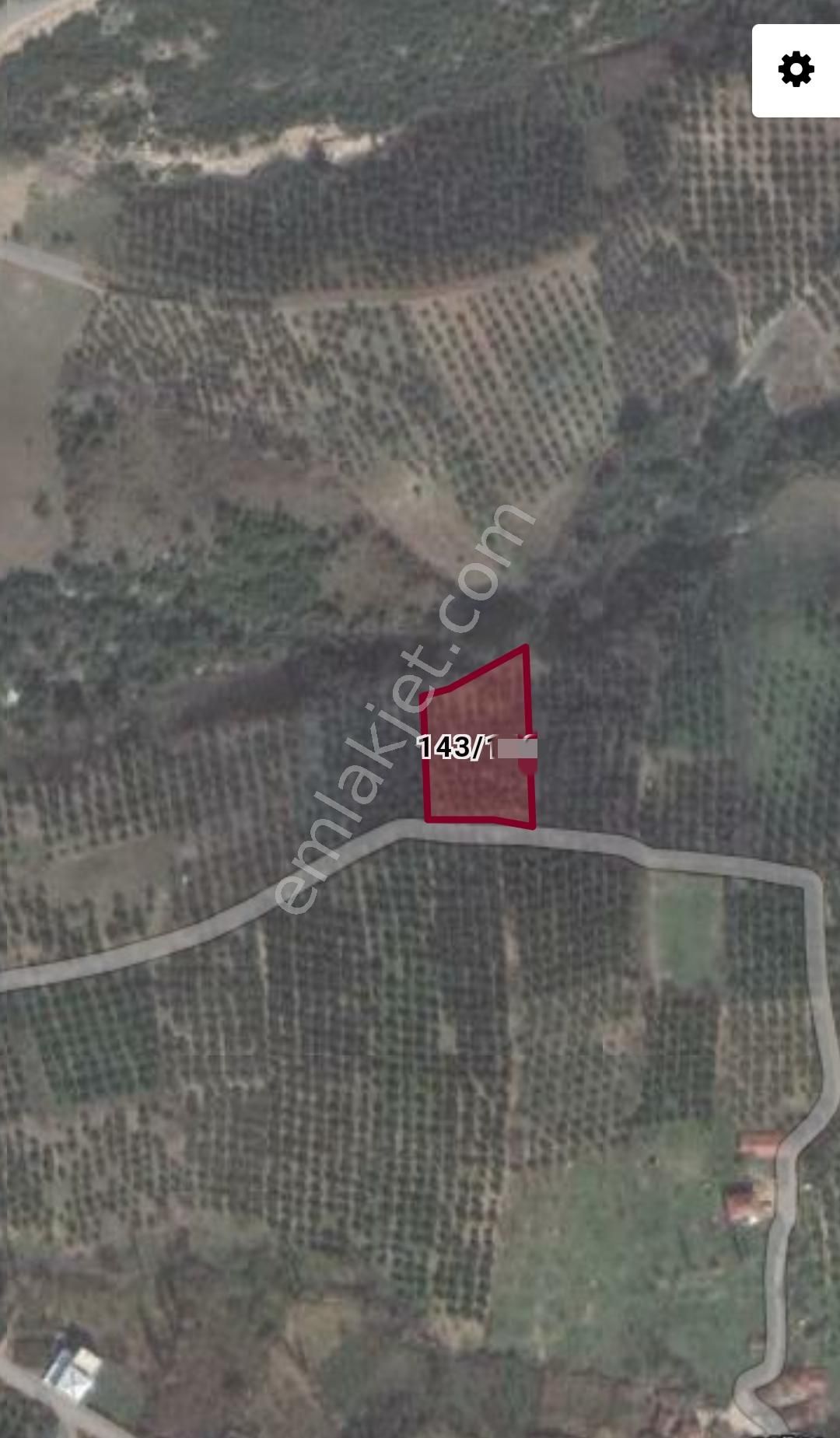 Ena Group Bursa Mudanya Çepni'de 2350 M2 Satılık Bahçe