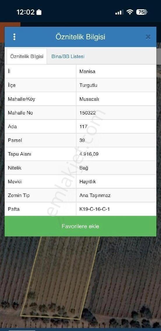 Manisa Turgutlu Musacalı Mh 4916m2 Üzüm Bağı - Görsel 5