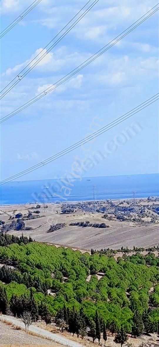 Kavaklıtepe De Deniz Boğaz Köprü Manzaralı 14 Dönüm Arazi - Görsel 3