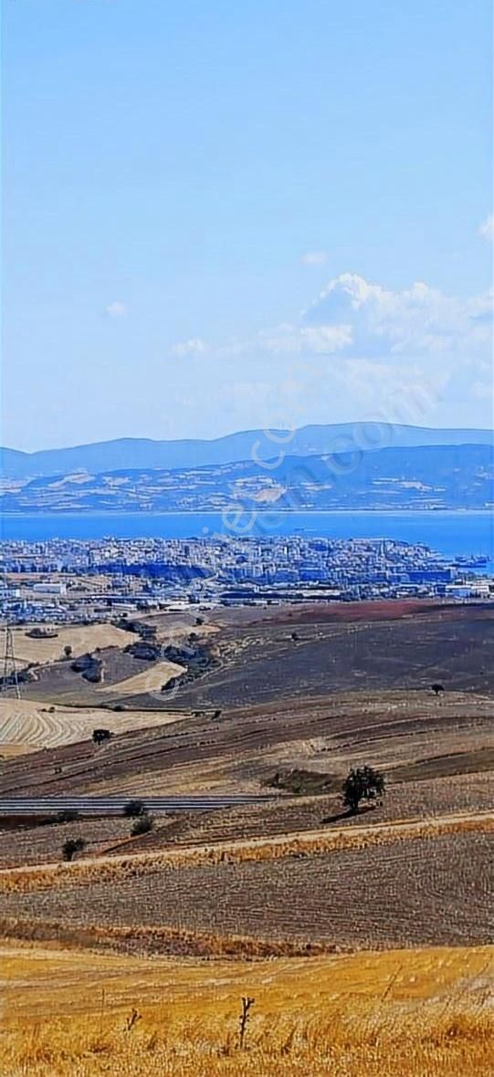 Kavaklıtepe De Deniz Boğaz Köprü Manzaralı 14 Dönüm Arazi - Görsel 5