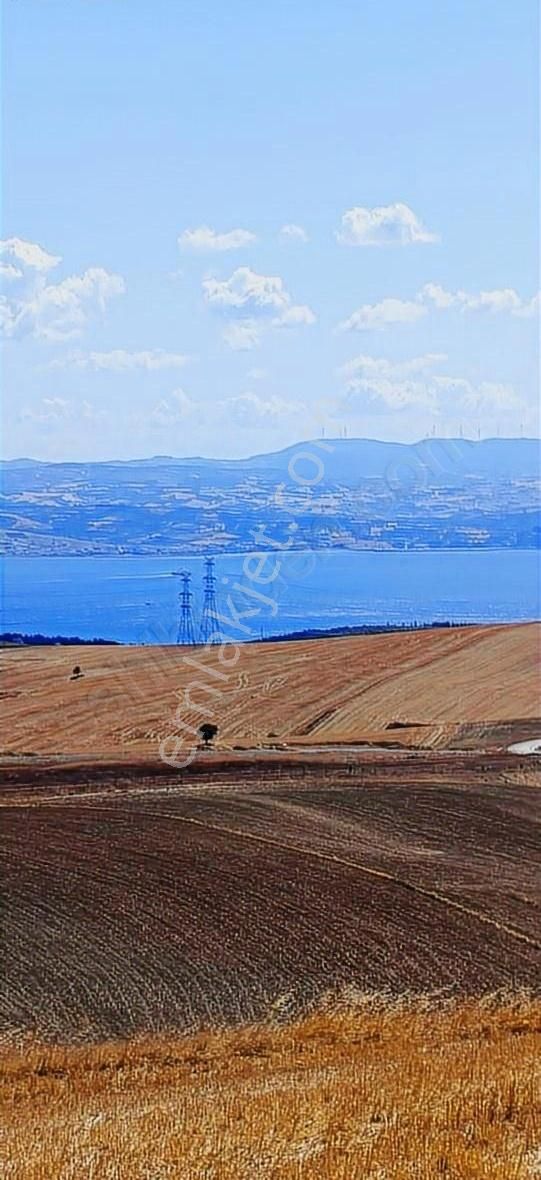 Kavaklıtepe De Deniz Boğaz Köprü Manzaralı 14 Dönüm Arazi - Görsel 2