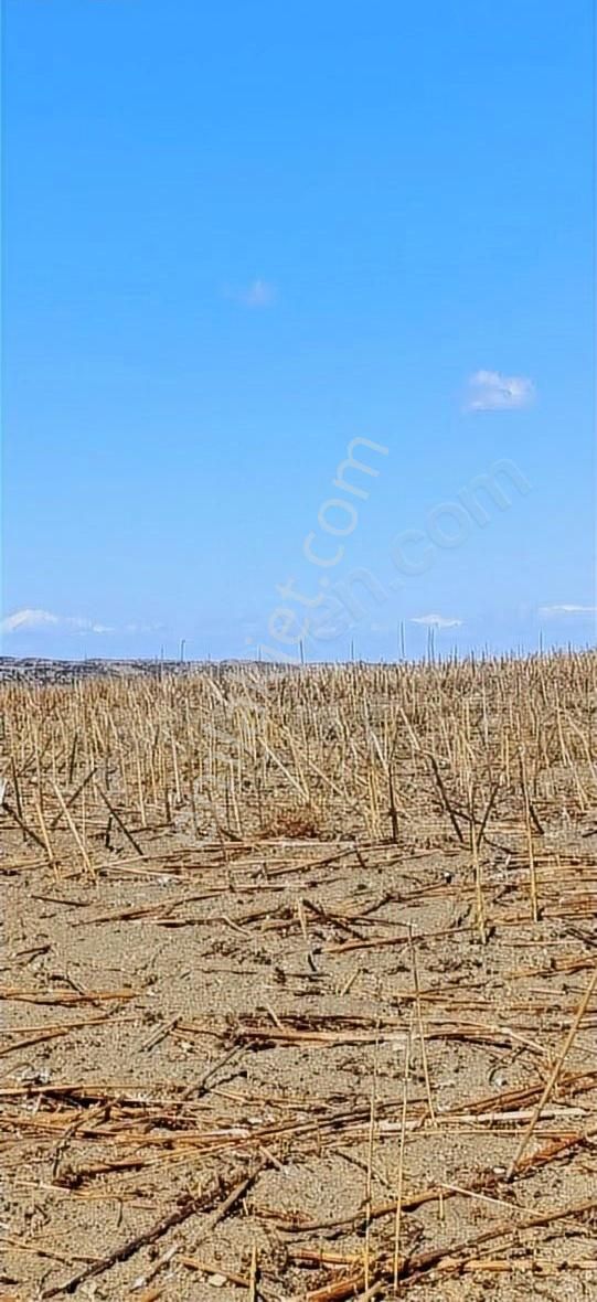 Kavaklıtepe De Deniz Boğaz Köprü Manzaralı 14 Dönüm Arazi - Görsel 8