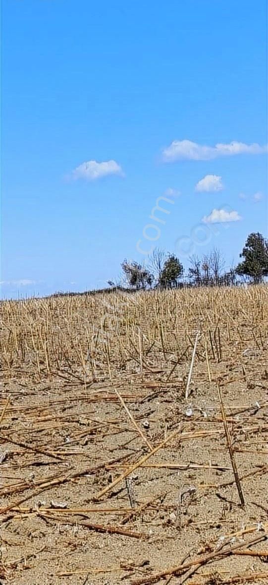 Kavaklıtepe De Deniz Boğaz Köprü Manzaralı 14 Dönüm Arazi - Görsel 15