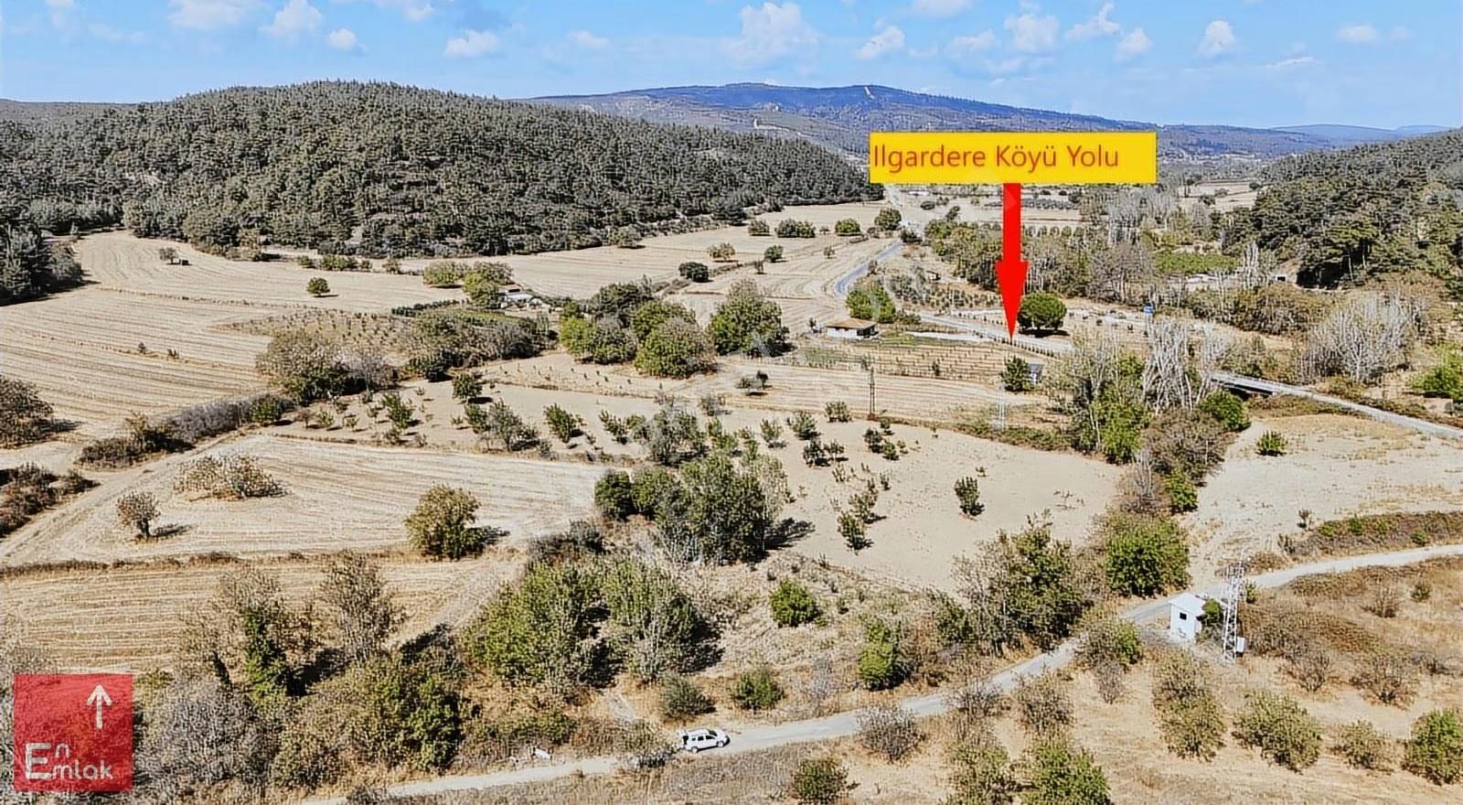 Ilgardere Köyünde 1557 M² Çam Ormanı İçinde Satılık Tarla - Görsel 4