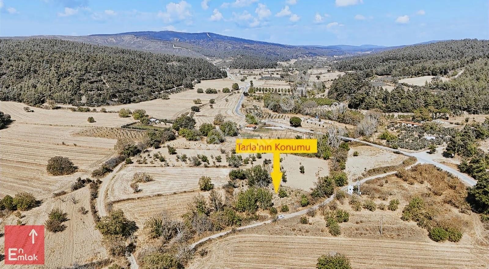 Ilgardere Köyünde 1557 M² Çam Ormanı İçinde Satılık Tarla - Görsel 5