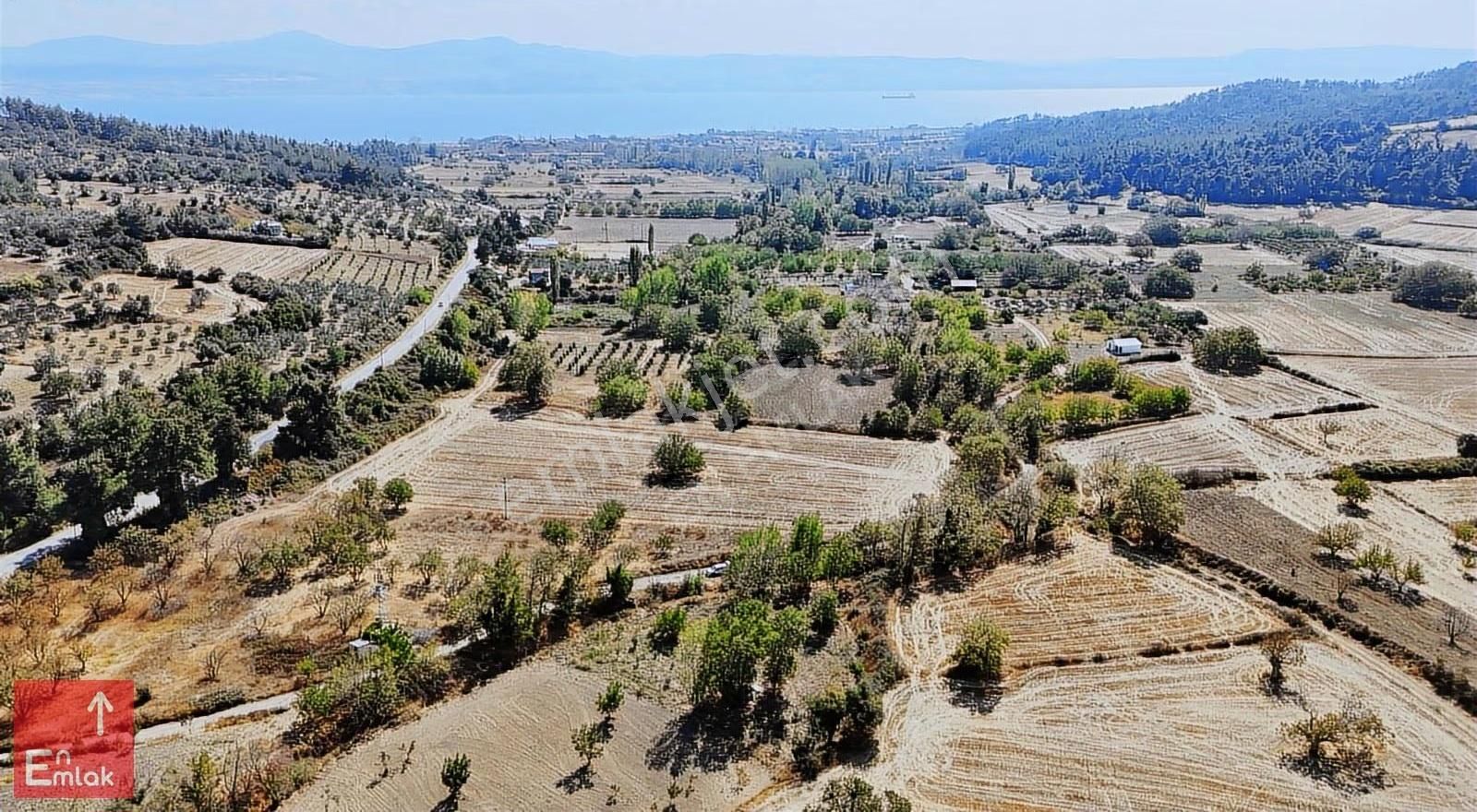 Ilgardere Köyünde 1557 M² Çam Ormanı İçinde Satılık Tarla - Görsel 7