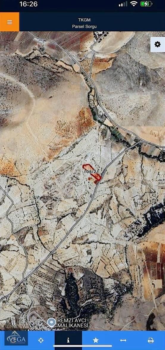 Vega Gayrimenkulden Cevizli Asfalt Üstü Zeytin Ve Fıstık Bahçesi