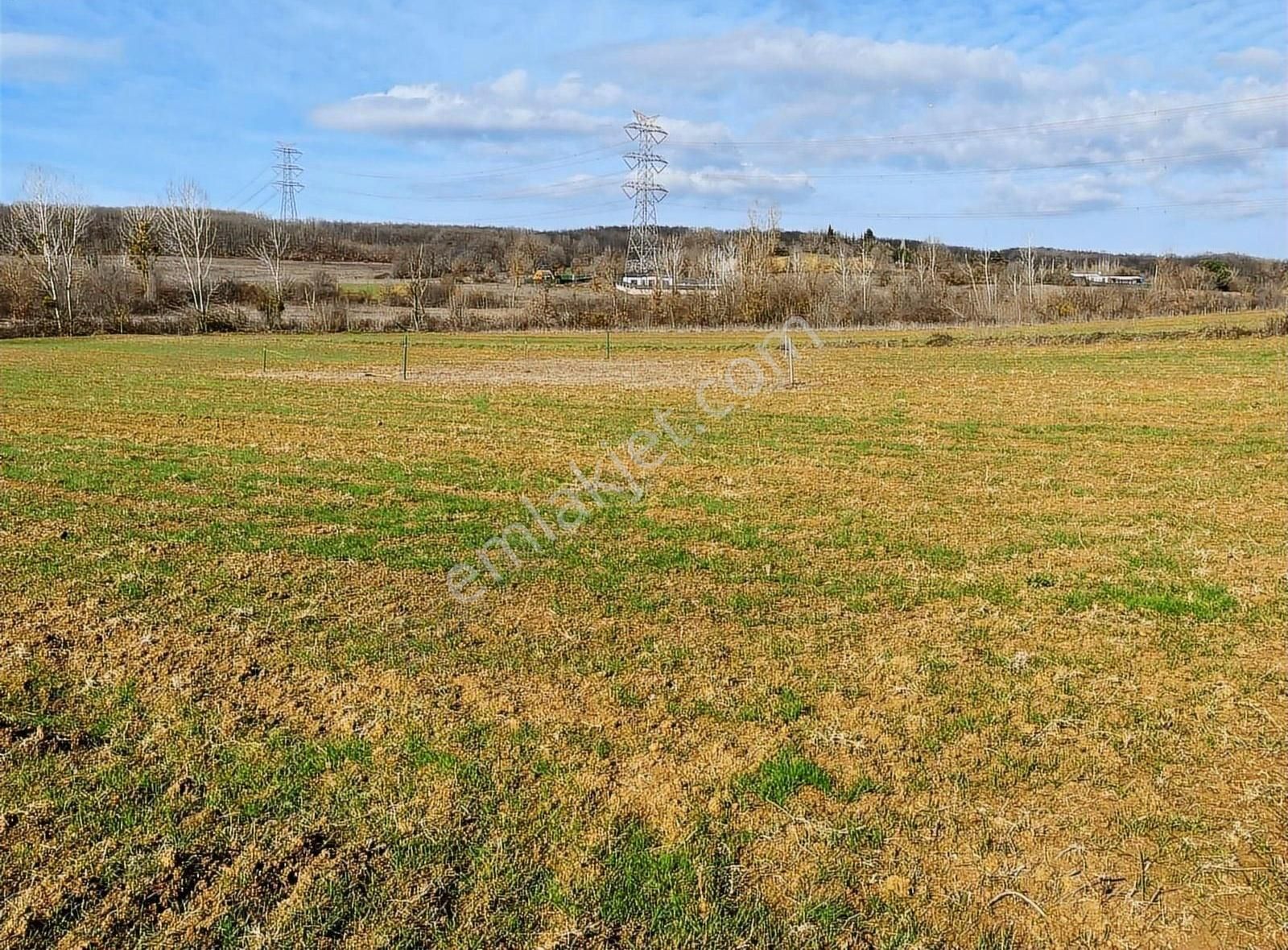 Gebze Denizli Köyünde Resmi Yollu - Görsel 3