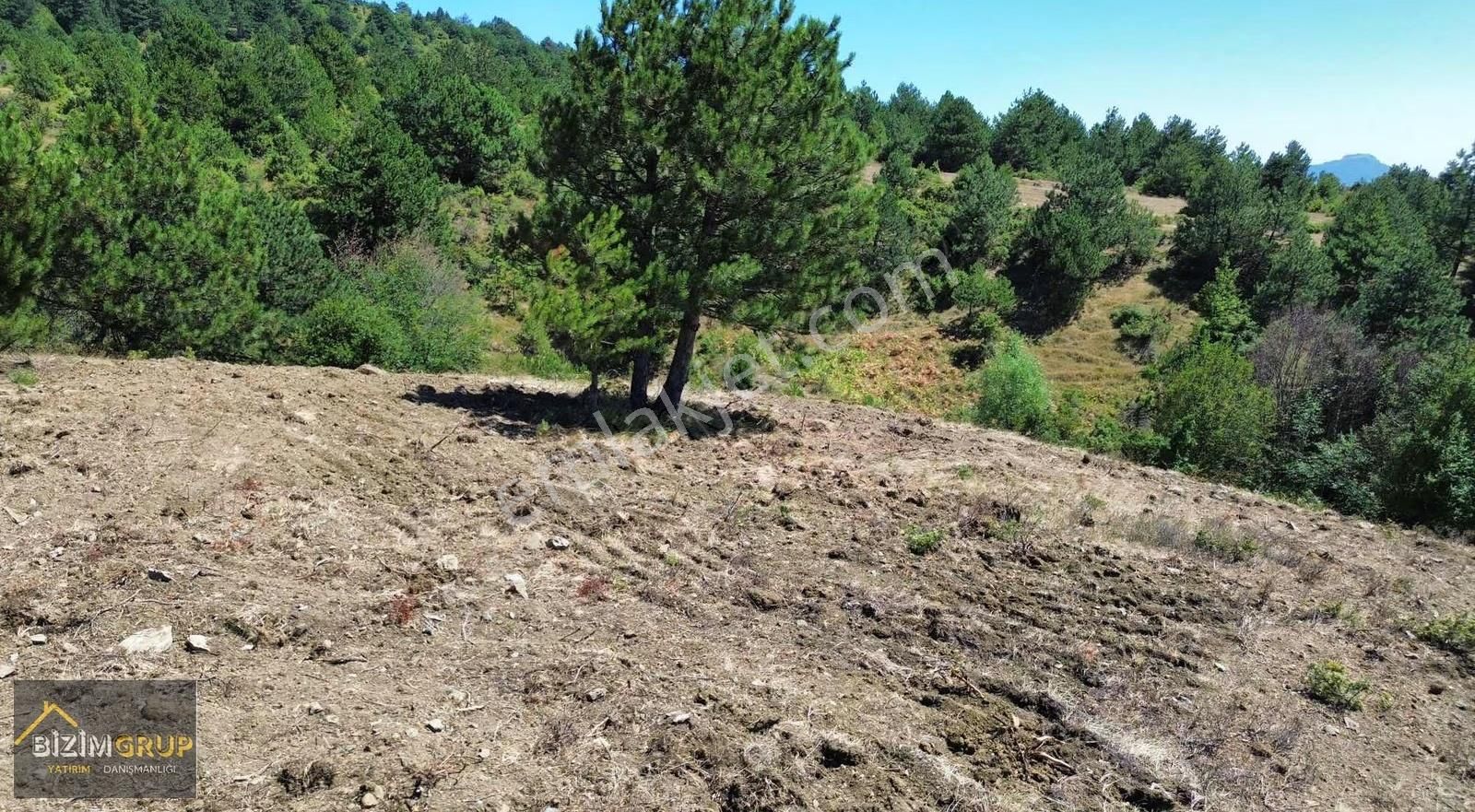 Fırsat Araziler Son 3 Adet Geyve Manzaralı - Görsel 13