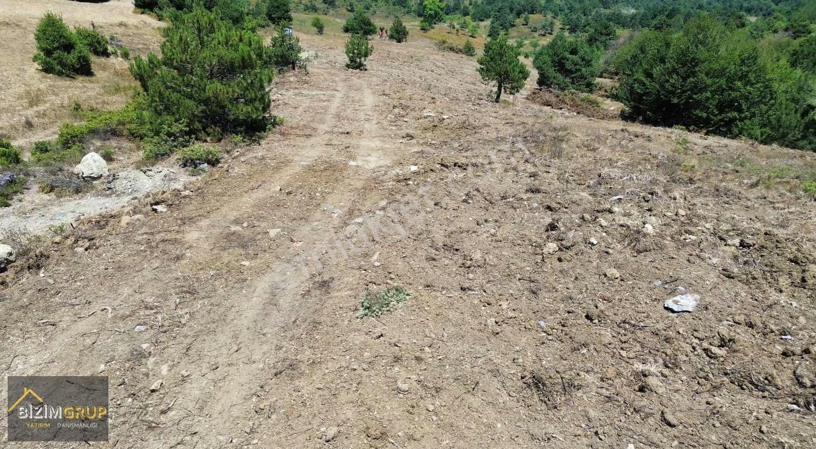 Fırsat Araziler Son 3 Adet Geyve Manzaralı - Görsel 4