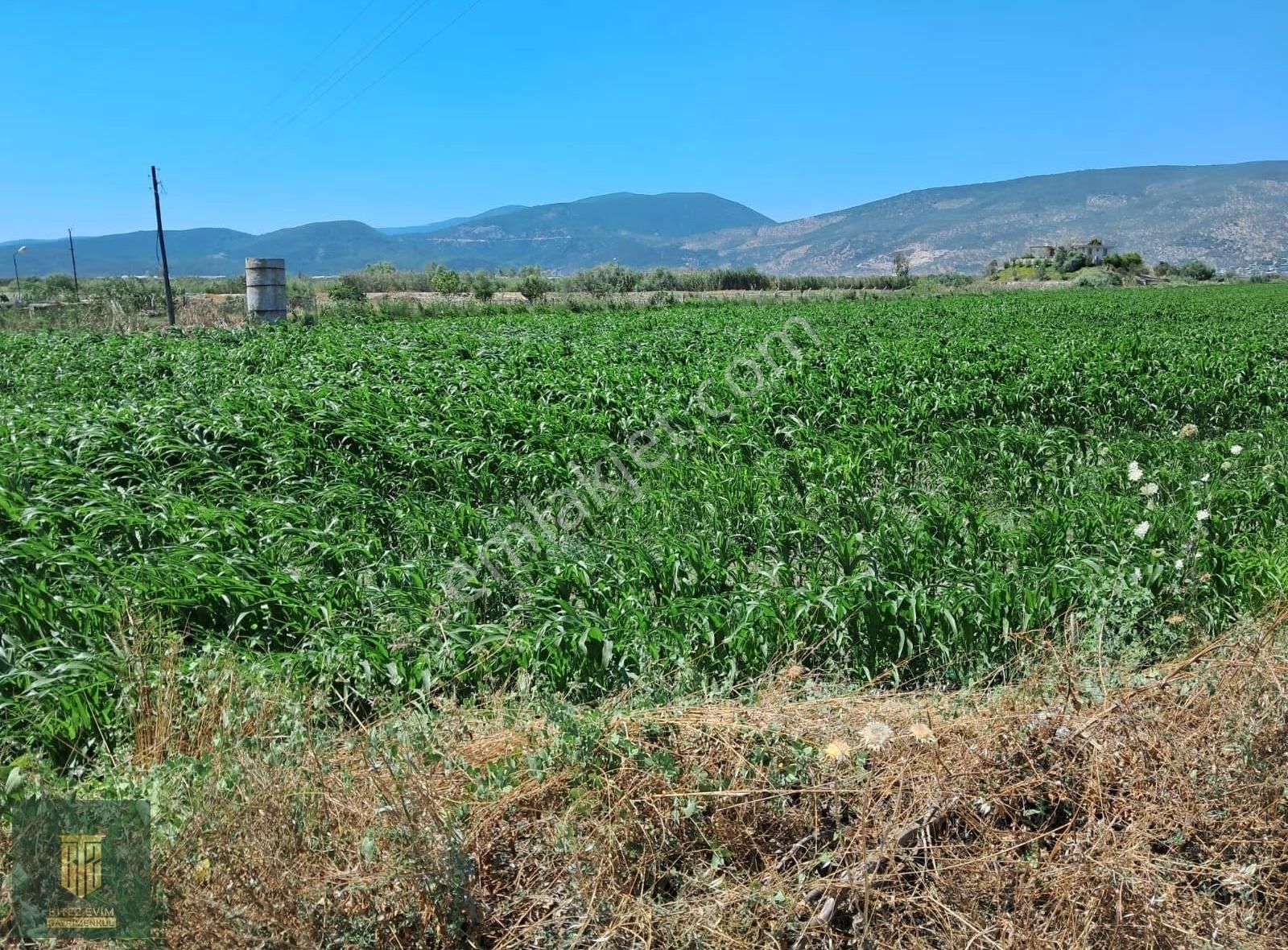 Avşar Köyünde Asfalt Yola Sıfır Tarla - Görsel 2