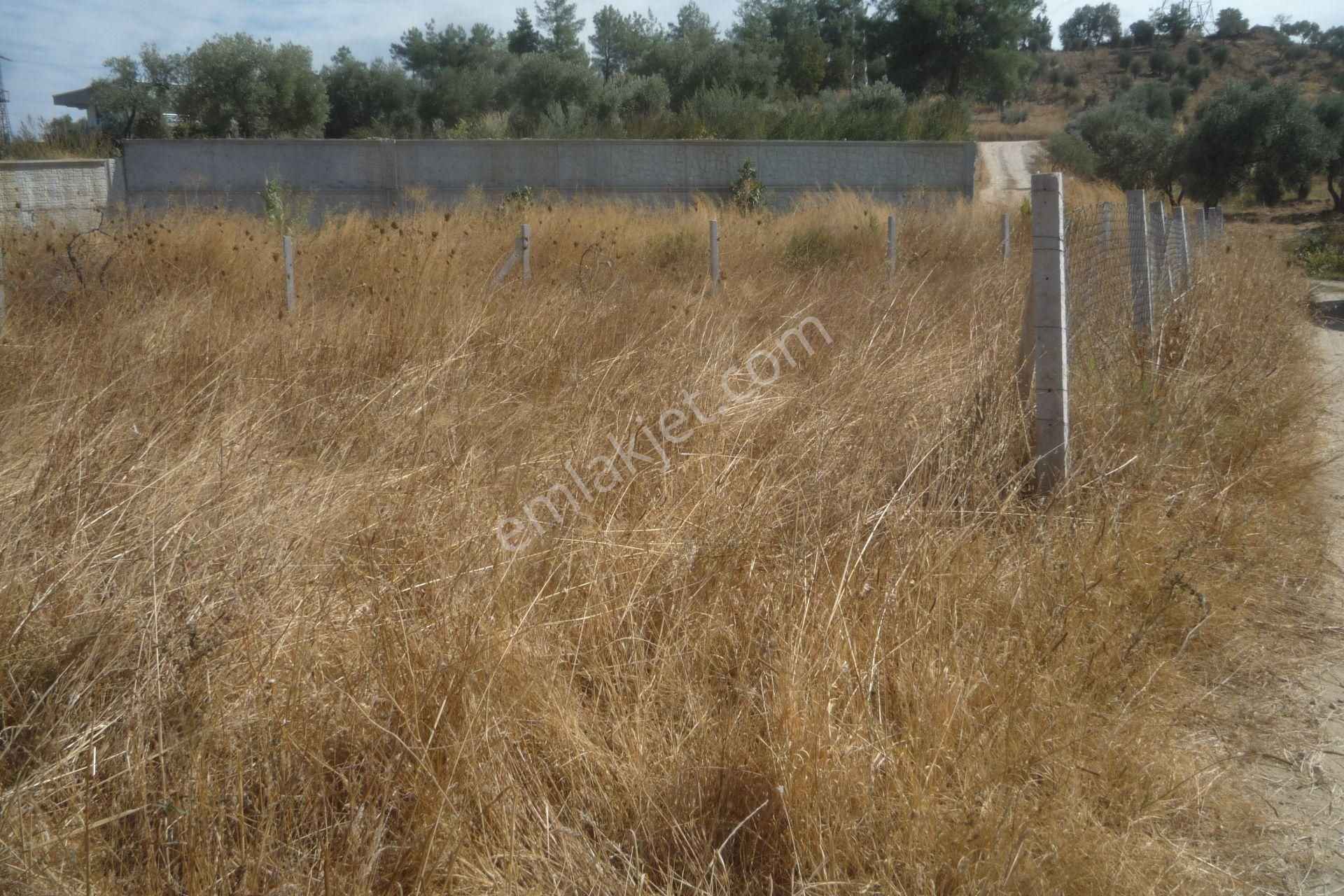 İzmir Torbalı Gold Emlaktan Satılık Bahçe - Görsel 4