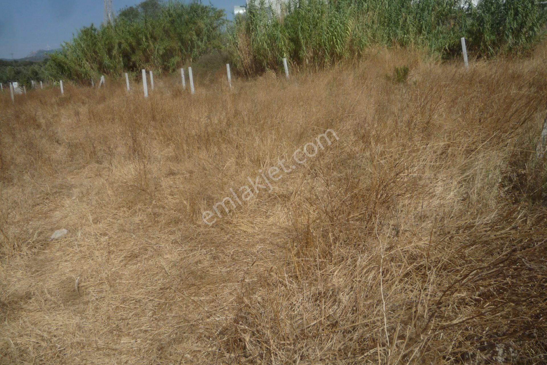 İzmir Torbalı Gold Emlaktan Satılık Bahçe - Görsel 6