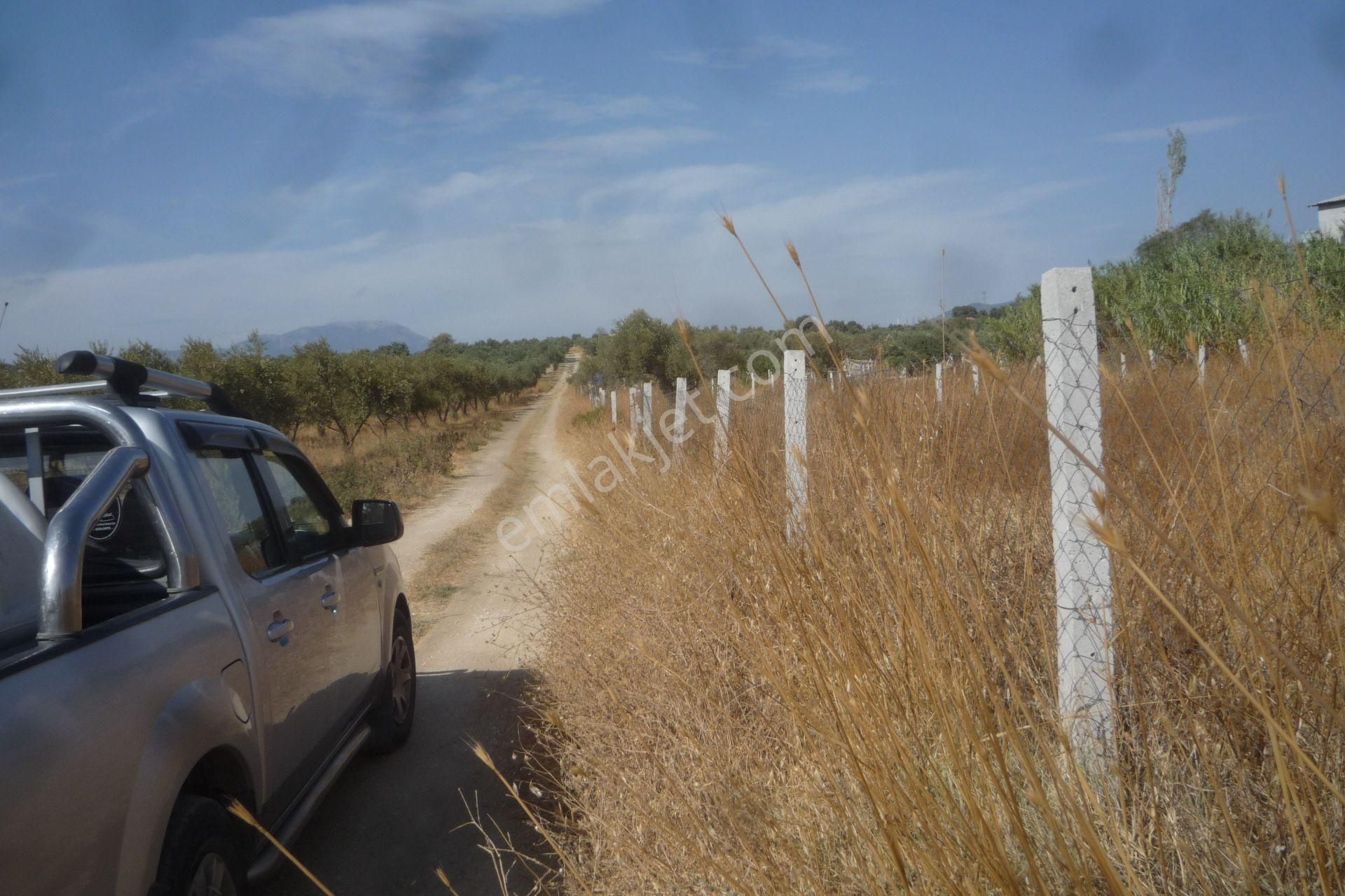 İzmir Torbalı Gold Emlaktan Satılık Bahçe