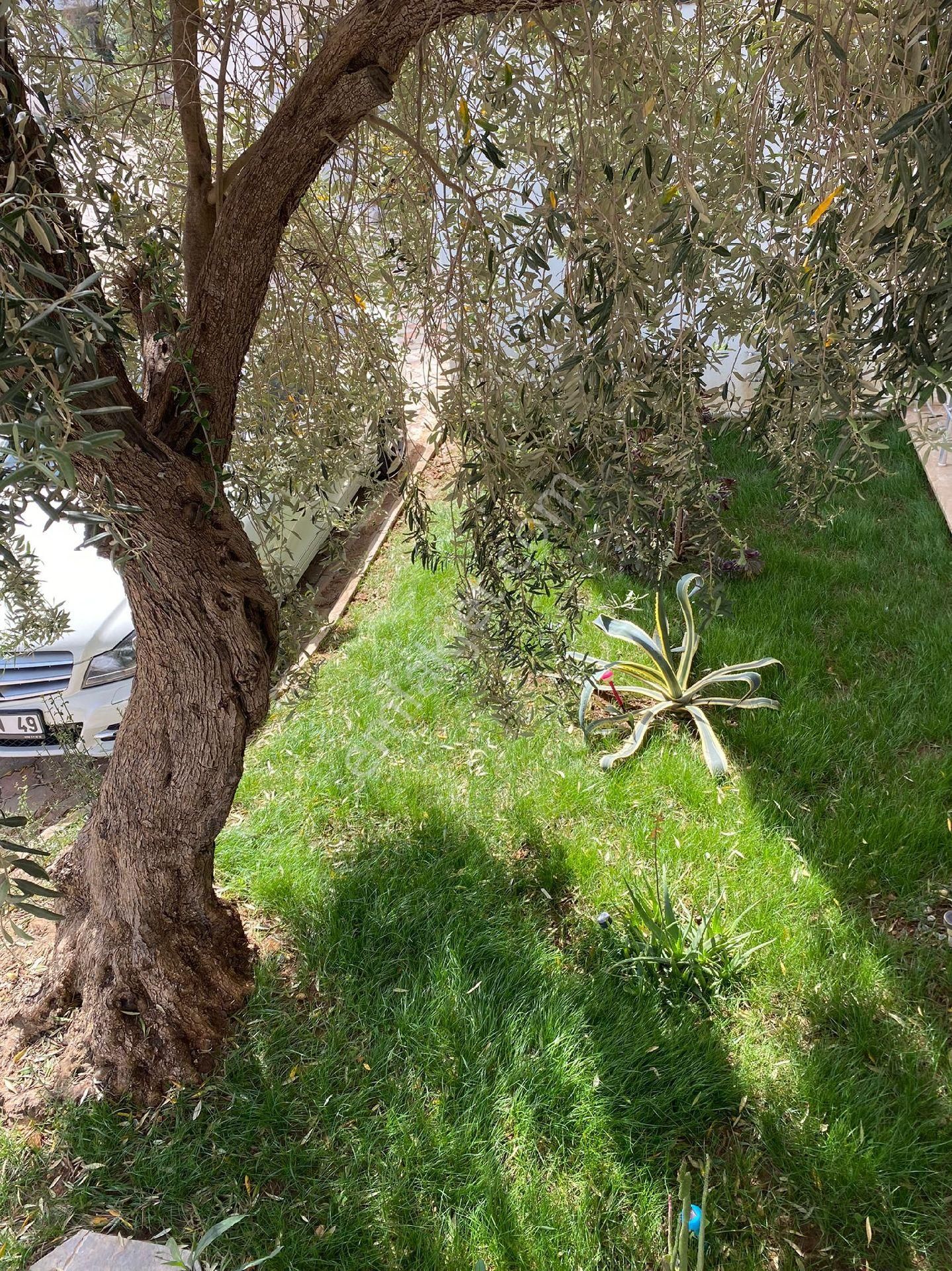 Akbük Realty World Doğa Gayrimenkul Güvencesiyle Satılık Çatı Dubleks - Görsel 6