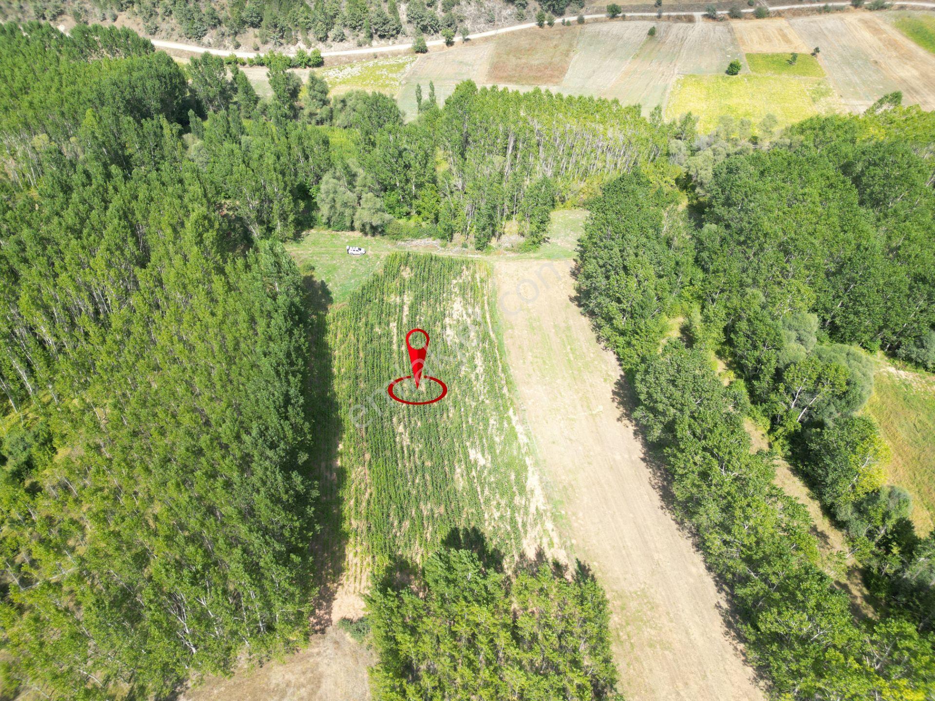Kütahya Gediz Yağmurlar Köyü 1397 M2 Satılık Yatırımlık Verimli Tarla - Görsel 3
