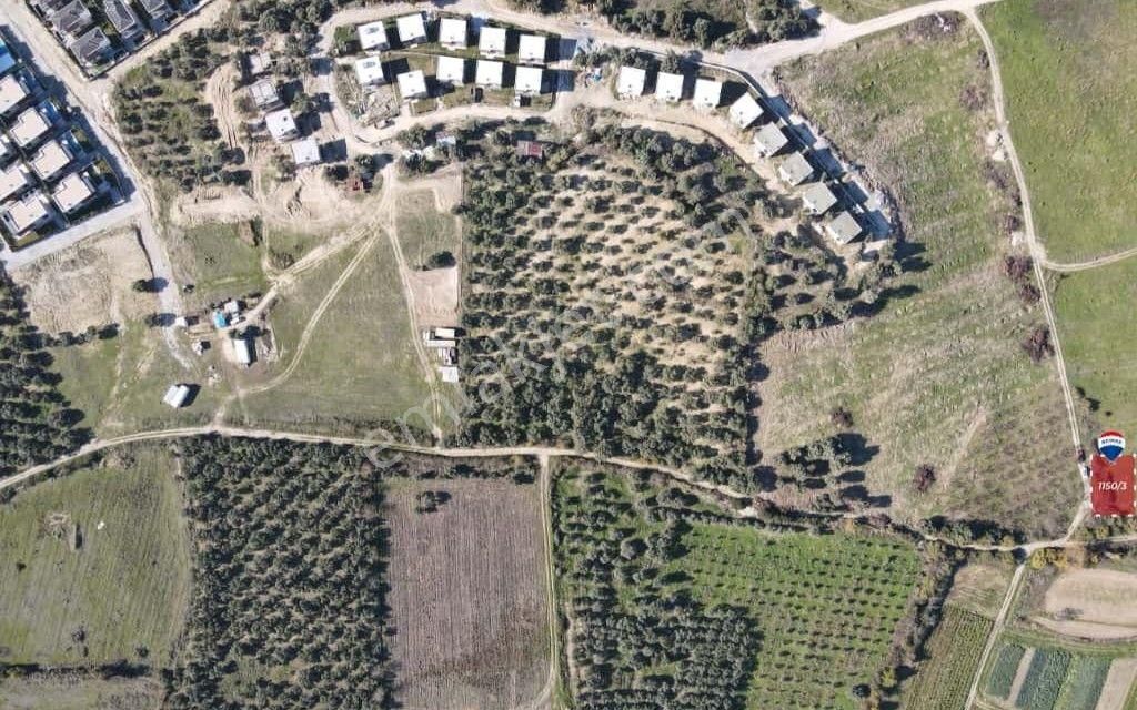 Kusadası Davutlarda 1013 M2 Imarlı Yatırıma Uygun Arsa - Görsel 5