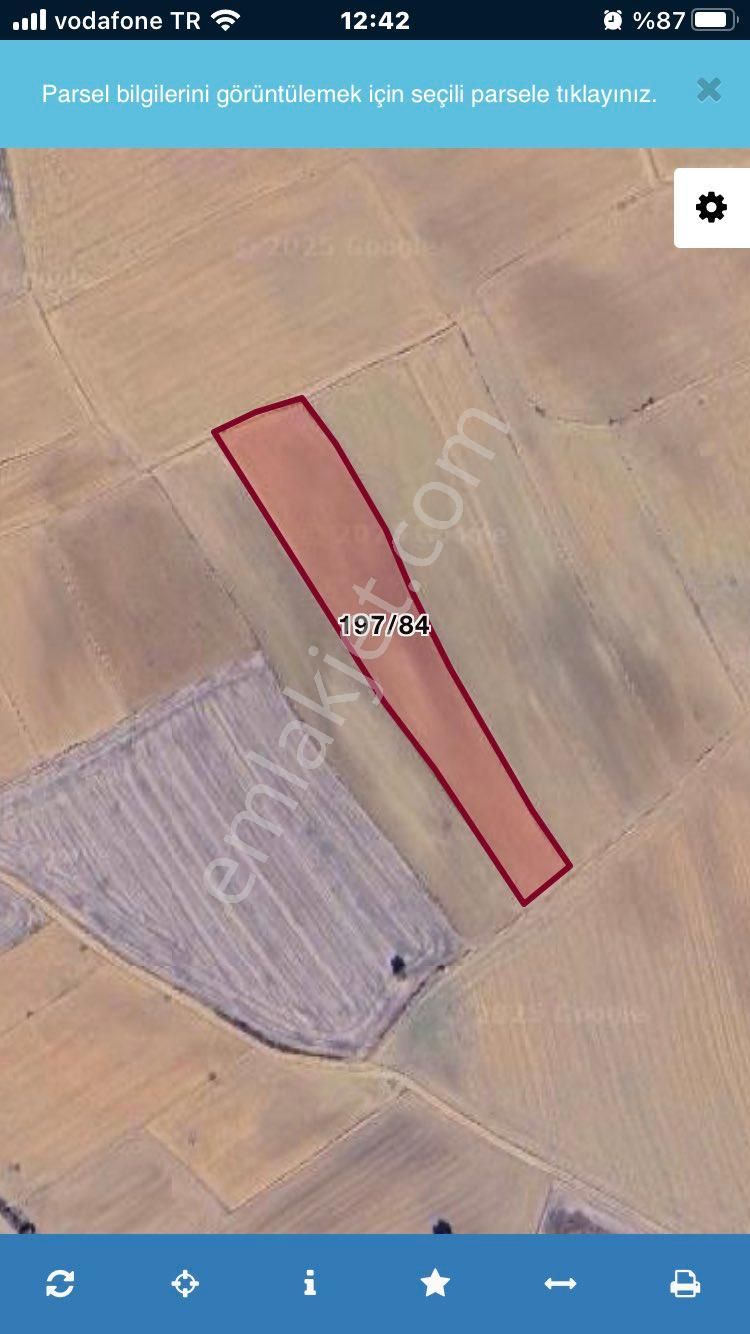 Çanakkale Gelibolu Adilhan Da Denize Yakın 8.954 M2 Satılık Tarla - Görsel 6