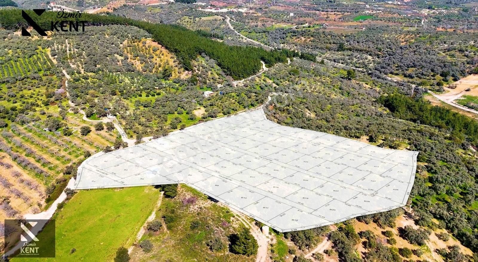 Kemalpaşa Vişneli Satılık 370 M2 Bahçe Elektrik Su Yol - Görsel 24