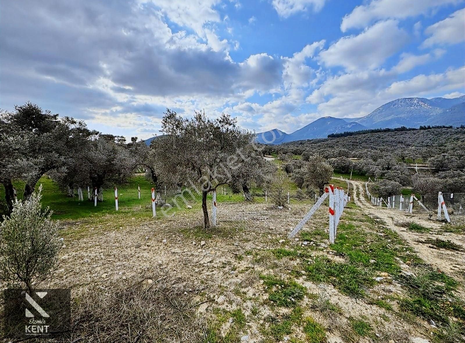 Kemalpaşa Vişneli Satılık 370 M2 Bahçe Elektrik Su Yol - Görsel 4