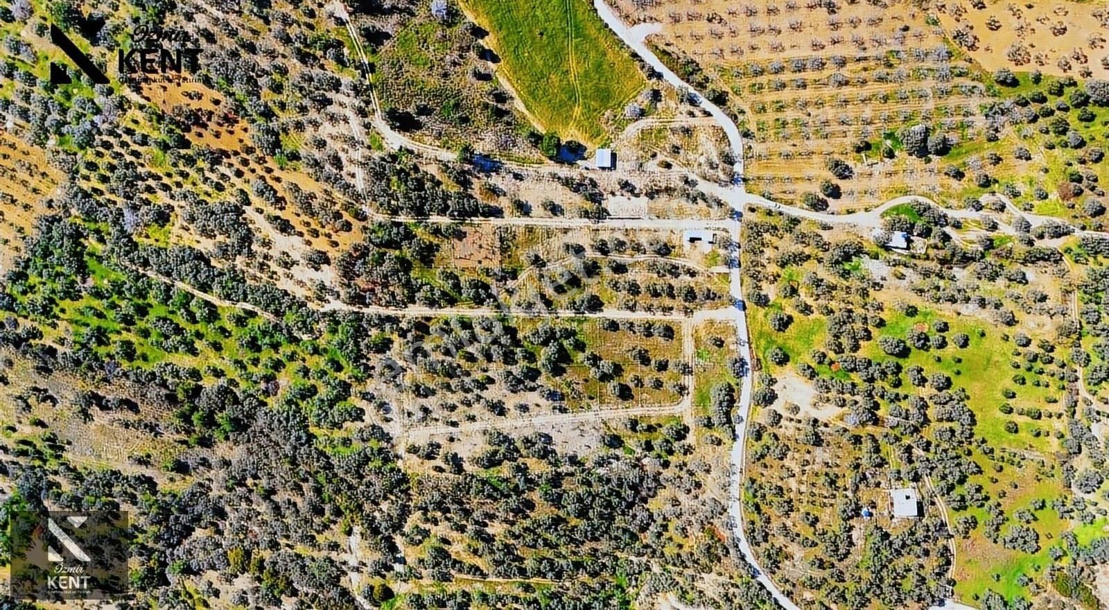 Kemalpaşa Vişneli Satılık 370 M2 Bahçe Elektrik Su Yol - Görsel 8