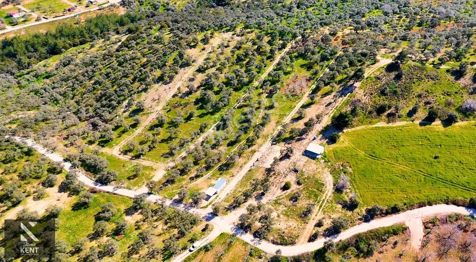Kemalpaşa Vişneli Satılık 370 M2 Bahçe Elektrik Su Yol - Görsel 3