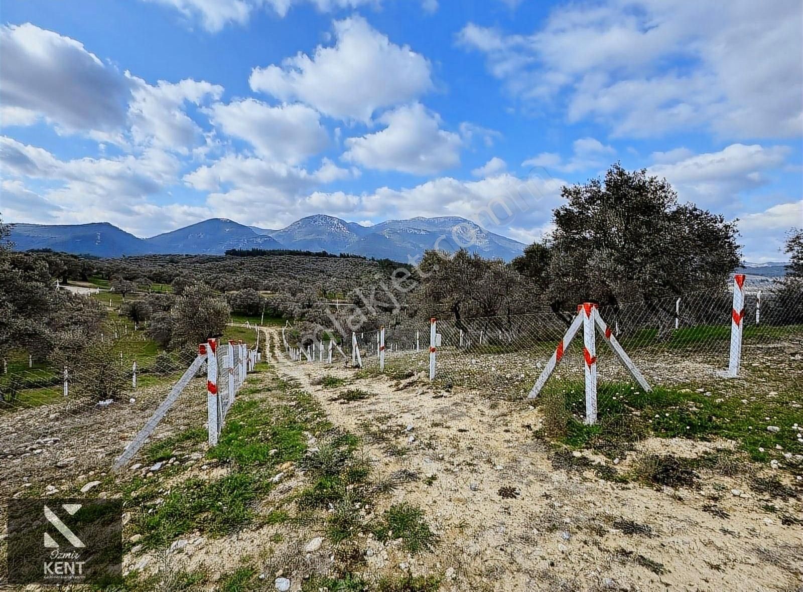 Kemalpaşa Vişneli Satılık 370 M2 Bahçe Elektrik Su Yol - Görsel 11