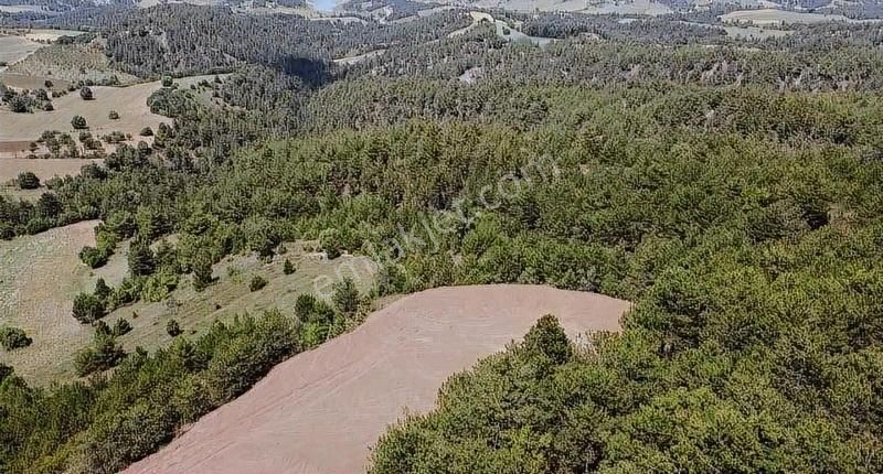 Yatırımlık Muhteşem Manzaralı Arazi - Görsel 13