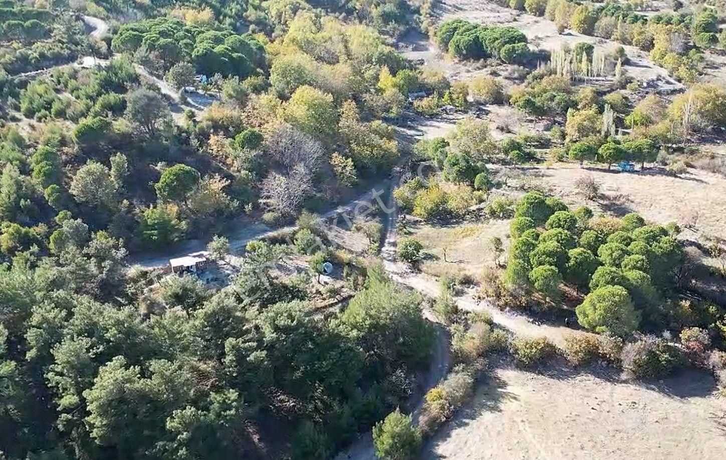 İzmir Bergama Yerlitahtacı Köyü 1403 M2 - Görsel 5