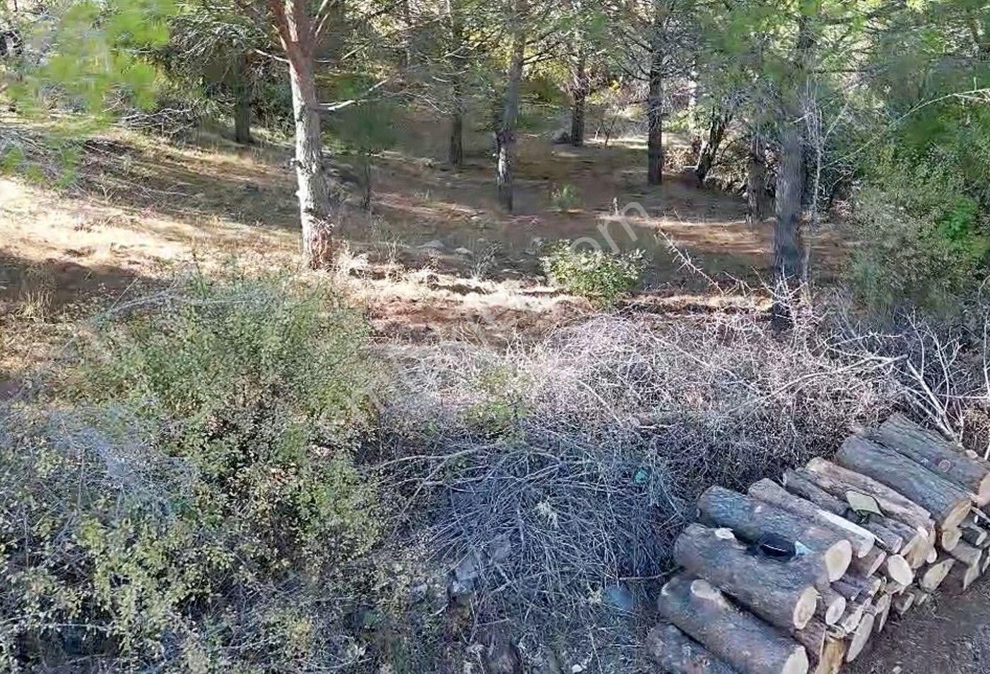İzmir Bergama Yerlitahtacı Köyü 1403 M2 - Görsel 11