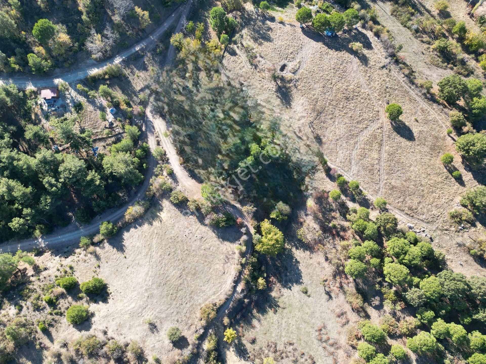 İzmir Bergama Yerlitahtacı Köyü 1403 M2 - Görsel 4
