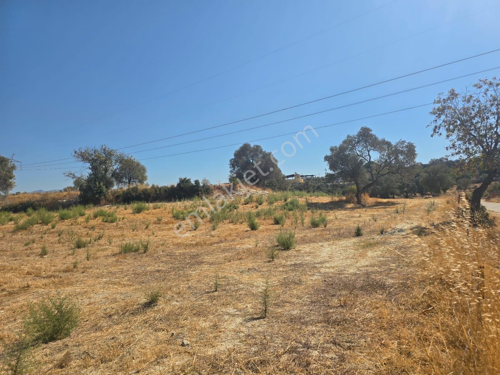 Yıldırım Mühendislik'ten Köy İçi "6475 M2" Denize 10 Dk. Mesafede !!! - Görsel 5