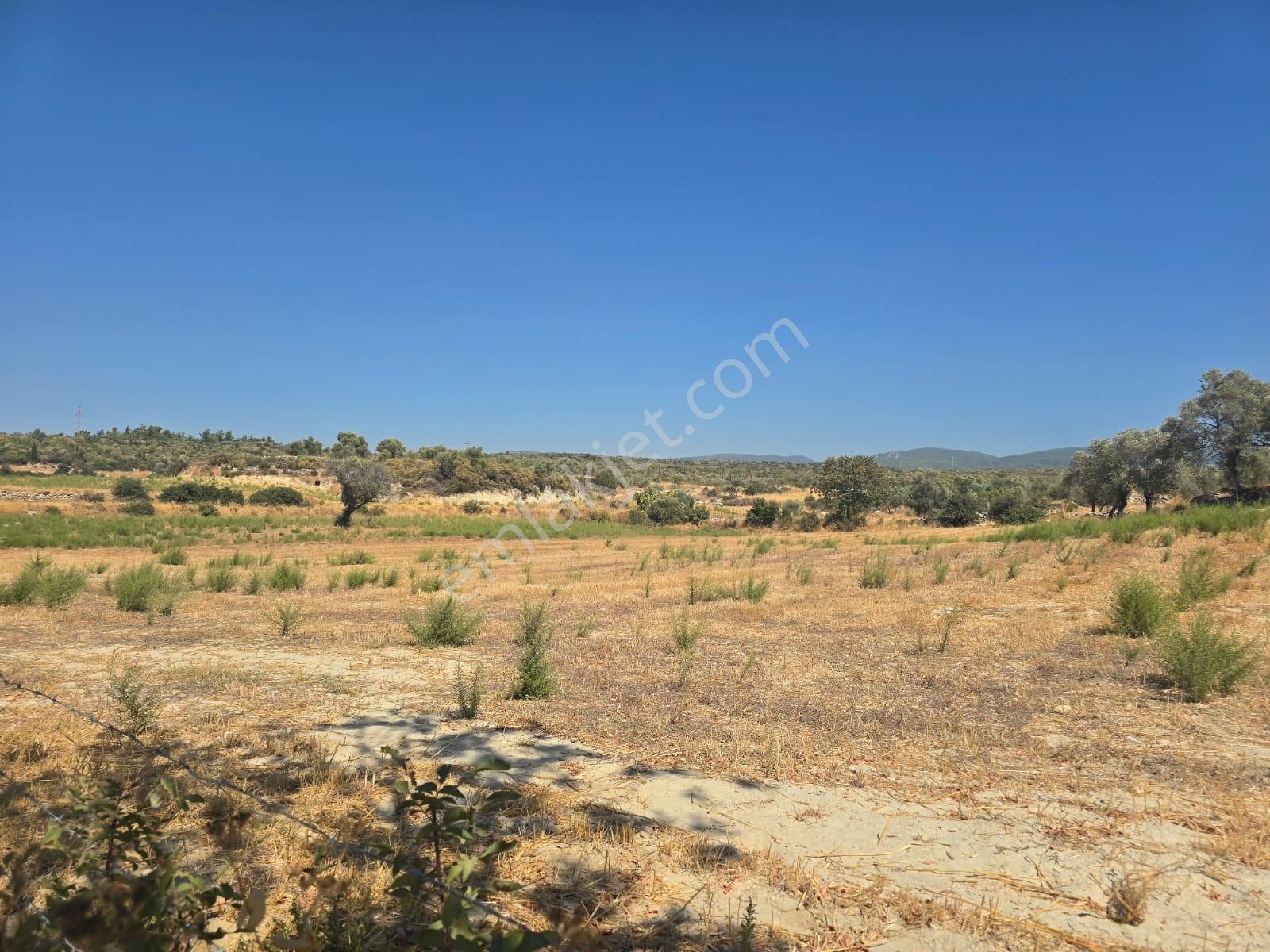 Yıldırım Mühendislik'ten Köy İçi "6475 M2" Denize 10 Dk. Mesafede !!! - Görsel 4
