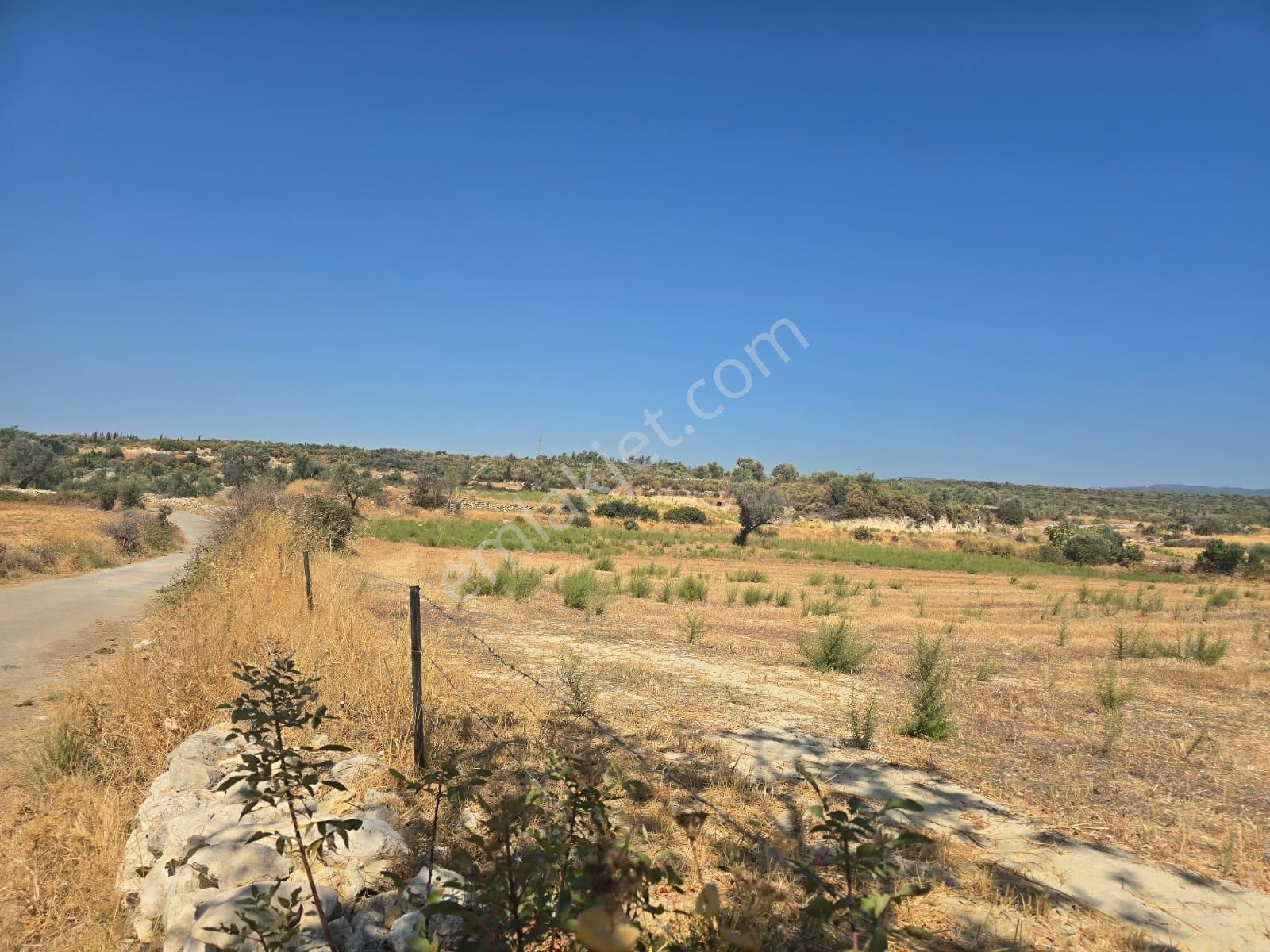 Yıldırım Mühendislik'ten Köy İçi "6475 M2" Denize 10 Dk. Mesafede !!! - Görsel 3