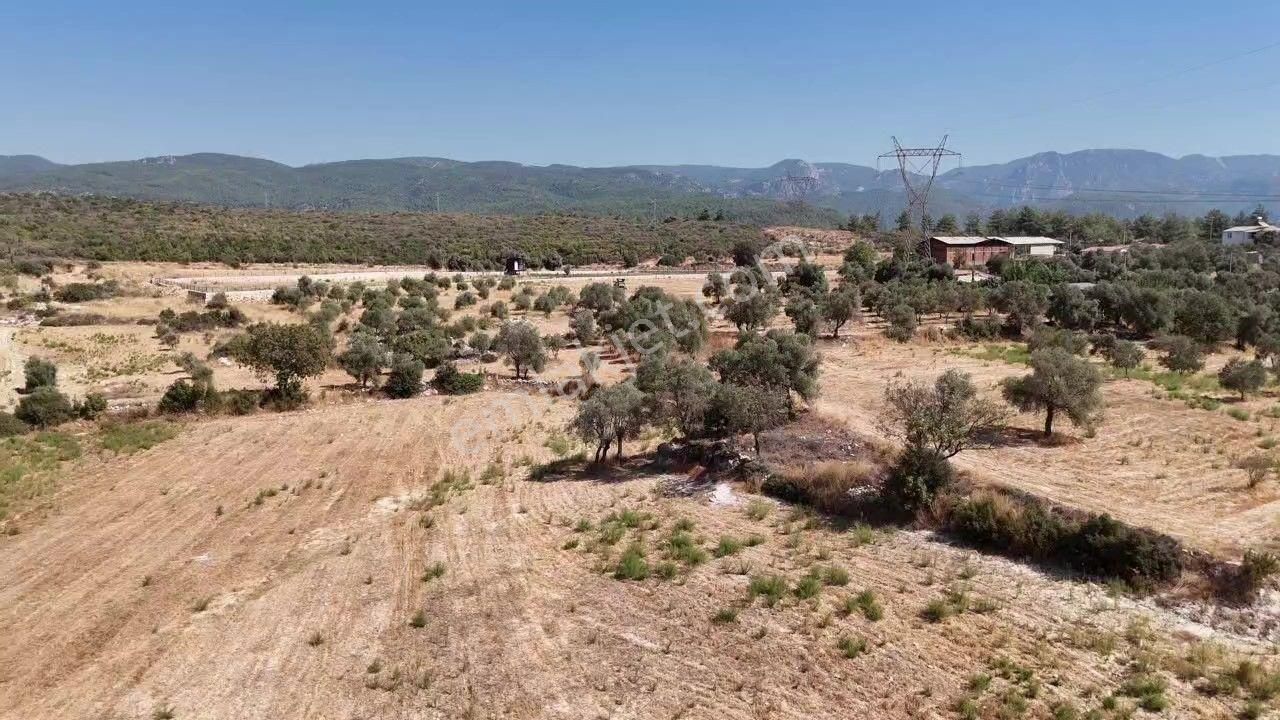 Yıldırım Mühendislik'ten Köy İçi "6475 M2" Denize 10 Dk. Mesafede !!! - Görsel 7